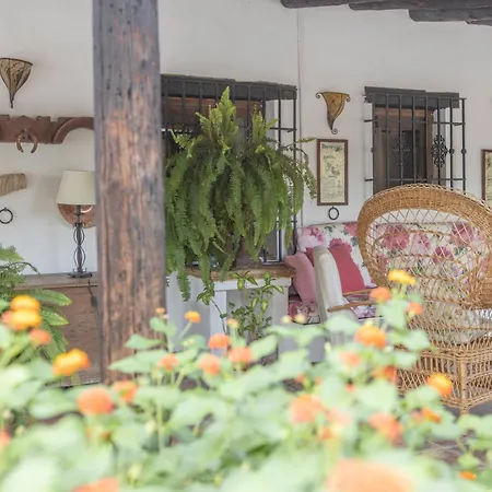 La Cuadra, A Pies De Sierra Nevada, A 10 Minutos Del Centro, Piscina, Jardin, Barbacoa * ラ・スビア