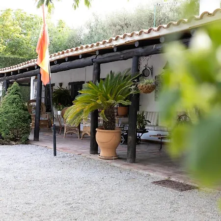La Cuadra, A Pies De Sierra Nevada, A 10 Minutos Del Centro, Piscina, Jardin, Barbacoa La Zubia (Granada)
