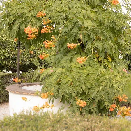 La Cuadra, A Pies De Sierra Nevada, A 10 Minutos Del Centro, Piscina, Jardin, Barbacoa * La Zubia (Granada)
